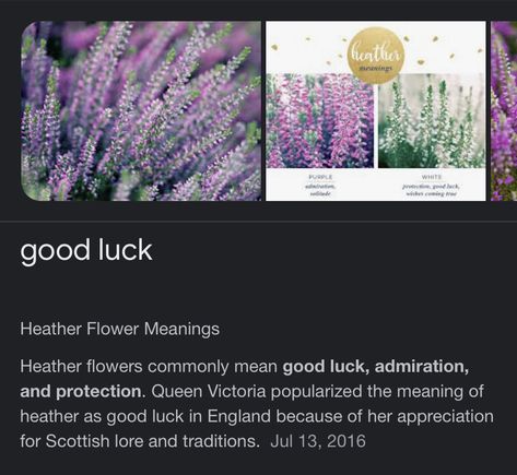 Heather Flower Meaning, Heather Meaning, Heather Flower, Flower Meanings, Queen Victoria, Heathers, Planting Flowers, Meant To Be, Plants