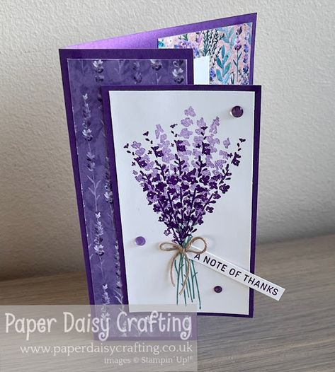 Stampin Up Lavender Suite, Su Painted Lavender Cards, Perennial Lavender Cards, Stampin Up Lavender Cards, Stampin Up Painted Lavender Cards, Stampin Up Painted Lavender, Stampin Up Perennial Lavender, Perennial Lavender Stampin Up Cards, Painted Lavender Stampin Up Cards