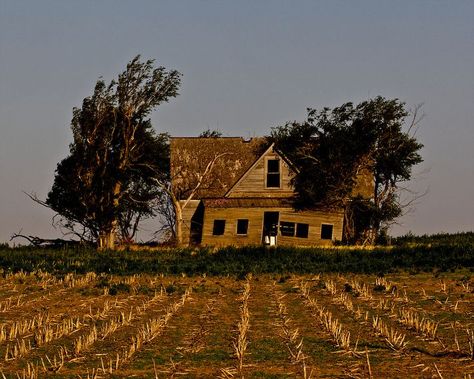 Abandoned Home Aesthetic, Apocalypse Farm, Dreamlike Illustration, Corn Aesthetic, Abandoned Field, Kansas Farmhouse, Old Farmhouse Aesthetic, Western Horror, Abandoned Aesthetic