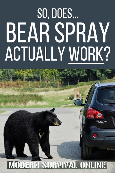 Bear Safety, Bear Attack, Old Campers, Bear Spray, Deep Woods, Happy Trails, Wilderness Survival, Hiking Tips, Sea Creature