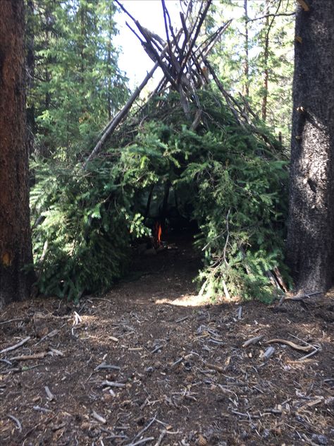 High mountain survival shelter (+10,000). Thick walls of pine branches with solid support beams make all the difference. Den Making Outdoors, Mountain Survival, How To Make A Shelter In The Woods, Survival Forts Woods, Shelter Belt Trees, Fort In The Woods, Therian Den, Shelter In The Woods, Wilderness Shelter How To Build