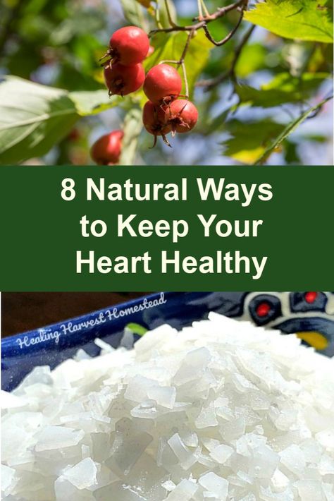 Mar 17, 2019 - You really need a healthy heart if you are planning on being active and living a long time. I'm talking about living WELL for a long time.  Personally, I want to be able to walk up stairs without huffing and puffing, run out to take care of our animals without feeling unduly stressed, and Elderberry Syrup, Heart Muscle, Healthy Heart, Natural Lifestyle, Circulatory System, Toxic Chemicals, Syrup Recipe, Heart Healthy Recipes, Natural Health Remedies