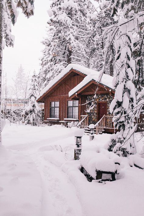 Winter Cottage Exterior, Cabin Snow, Winter Cabins, Winter House Exterior, Siding Styles, Cabin Winter, Snow Cabin, Dream Cabin, Winter Cottage