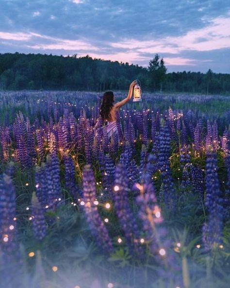 Lavender Fields Photography, Happy Birthday Pictures, Fields Photography, Fantasy Fairy, Pretty Photos, Lavender Fields, Purple Aesthetic, Insta Photo Ideas, Flower Field