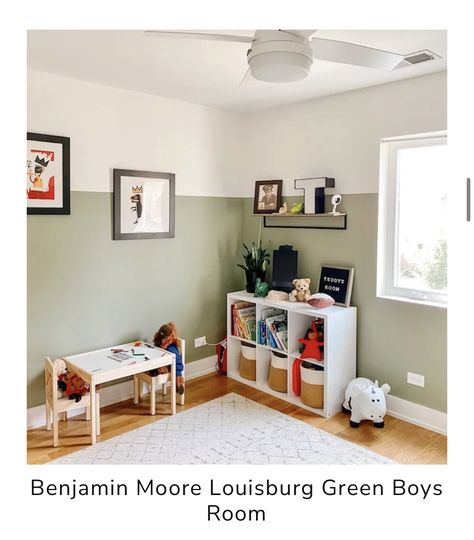 Paint Colors Playroom, Best Olive Green Paint Color, Paint Laundry Room, Olive Green Paint Colors, Green Playroom, Boys Bedroom Green, Olive Green Paint, Green Kids Rooms, Green Boys Room