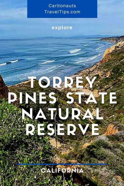 Torrey Pines, Nature Preserve, Best Hikes, Summer Adventures, La Jolla, State Park, Hiking Trails, Southern California, State Parks