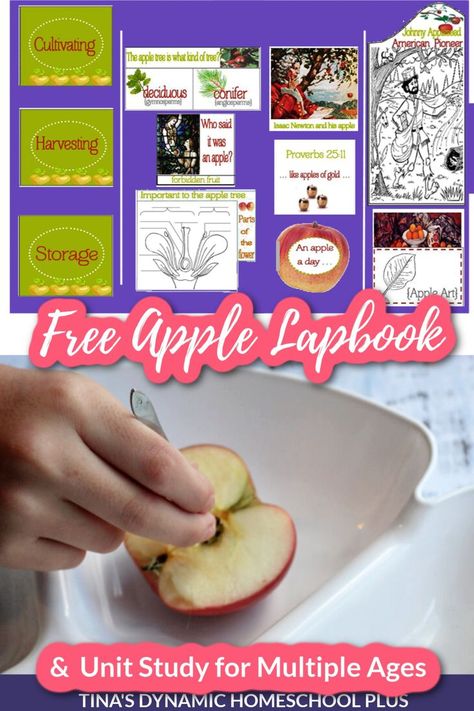 Fun Apple Lapbook and Hands-on Unit Study for Multiple Ages Johnny Appleseed Craft, Apple Unit Study, Apple Life Cycle, Sir Isaac Newton, Notebooking Pages, Apple Unit, Science Vocabulary, Johnny Appleseed, Homeschool Crafts