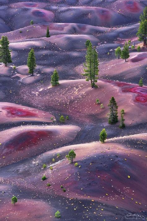 Weird Aesthetic, Lassen Volcanic, Magic Places, Lassen Volcanic National Park, Another Planet, Incredible Places, Beautiful Places To Travel, Magical Places, Fantasy Landscape