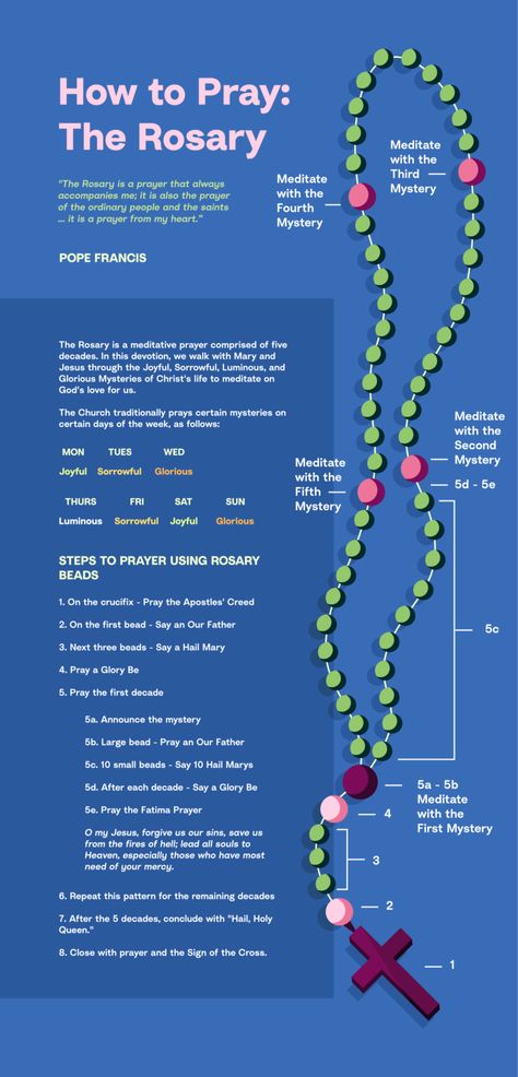 Holy Rosary Guide, How To Pray The Rosary Catholic, How To Pray The Rosary, Hail Mary Prayer Catholic, Rosary Prayer Guide, Rosary Guide, Praying The Rosary Catholic, Rosary Meditations, Rosary Prayers