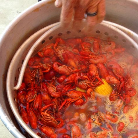 A Southern Louisiana crawfish boil recipe Louisiana Crawfish Boil Recipe, Crawfish Boil Recipe, Seafood Broil, Shrimp And Crab Boil, Boil Recipes, Crawfish Boil Party, Southern Louisiana, Louisiana Crawfish, Crawfish Etouffee