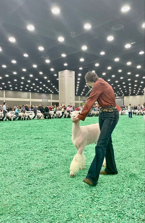 Ffa Show Outfit, Sheep Showmanship, Lamb Showing, Sheep Showing, Fair Week, Livestock Showing, 2024 Manifesting, Show Goats, Show Queen