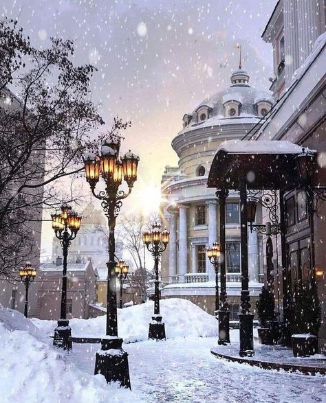 Winter Drawings, Winter Szenen, Street Lights, Winter Scenery, Winter Beauty, Snow Scenes, Winter Pictures, Christmas Scenes, Winter Wonder