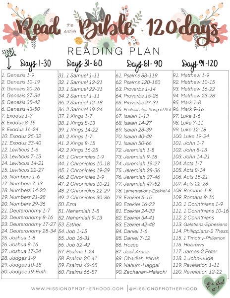 Year Bible Reading Plan, Bible Guide, Learn The Bible, Prayer Closet, Bible In A Year, Bible Study Topics, Bible Study Plans, Niv Bible, Bible Study Methods