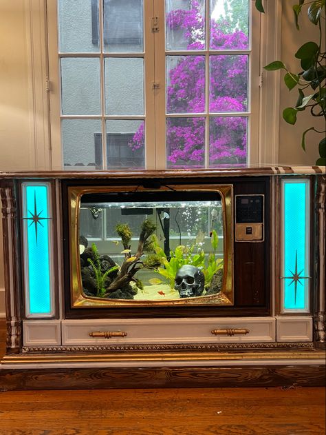 1982 montgomerward color tv gutted ans upcycled by me Tv Fish Tank Vintage, Old Tv Fish Tank, Tv Fish Tank, Tv Room Decor, Artistic Anatomy, Amazing Aquariums, Diy Fish Tank, Futurism Art, Anatomy For Artists