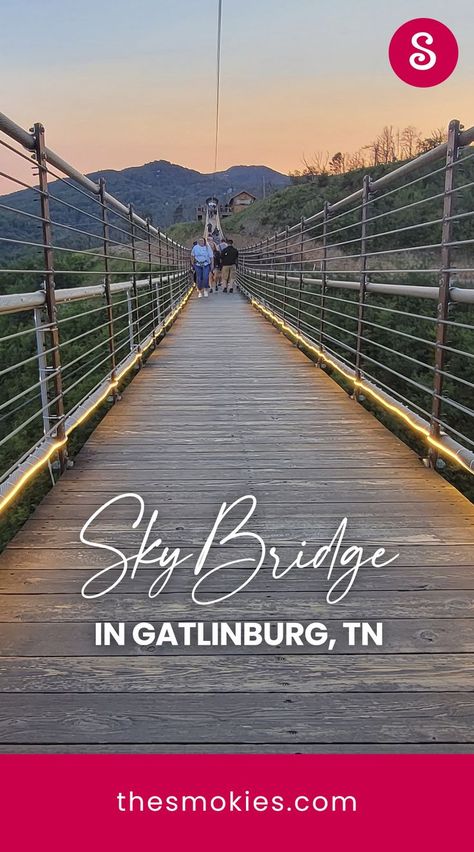 Your Questions on the SkyBridge in Gatlinburg, Answered [2023] Cable Bridge, Love And Fear, Gatlinburg Tennessee Vacation, Gatlinburg Vacation, Sky Bridge, Tennessee Vacation, Gatlinburg Tennessee, Gatlinburg Tn, East Tennessee