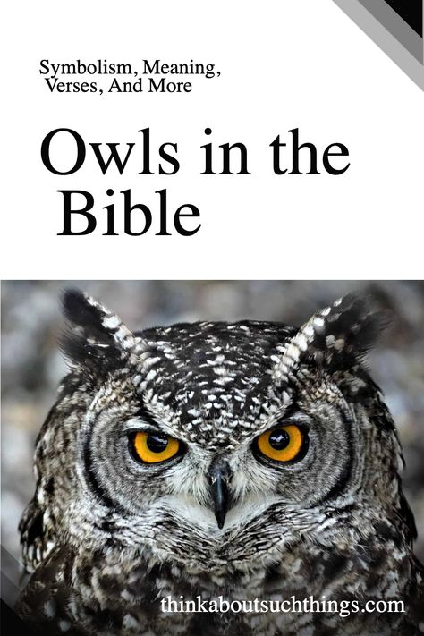 Dive into this neat Bible study on the topic of Owls in the Bible. Be inspired by God's Word and what it says about different animals. So make sure to save this pin! Animals In The Bible, Who Wrote The Bible, Wise Animals, Bible Meaning, Symbolism Meaning, Owl Quotes, Bible Studies For Beginners, Strongest Animal, Different Animals