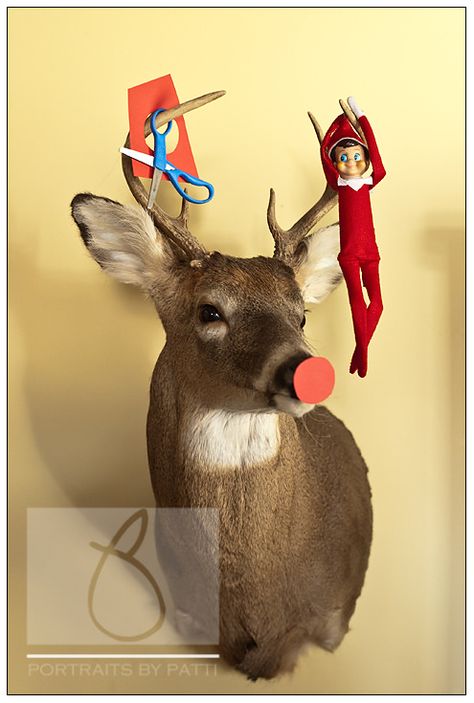 Mandy Candy, Elf Buddy, Taxidermy Deer, Elf Jewelry, Deer Heads, Uncle Mike, Scrapbooking Kids, Deer Mounts, Elf Me