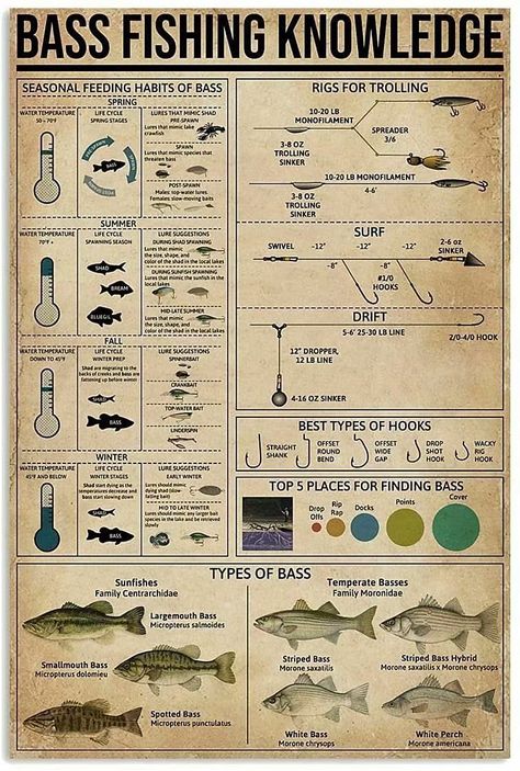 PRICES MAY VARY. Approximate Size: 8x12 inch (20x30cm) Material Style: Tin / Metal / Vintage Tin Sign / Wall Decoration Unique And Novel Tin Sign Wall Art Poster. Easy To Hang: Screw Holes Are Pre-Drilled At The Corners For Easy Hanging. For Safe Handling, The Edges Of Each Tin Label Must Be Rolled Up And Crimped. This Bass Fishing Knowledge Tin Sign Is Suitable For Decoration In Home,Garages, Coffee, Kitchens, Bars, Men'S Caves, Bathrooms Or Other Places. It Can Be Used As Wall Decoration Or As Vintage Fishing Decor, Fishing Knowledge, Knowledge Poster, Fishing Knots, Fishing Guide, Wilderness Survival, Family Art, Vintage Metal Signs, Fishing Tips
