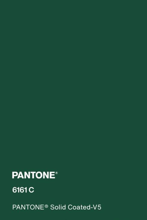 #pantone #green #color #pantone6161c Green Colour Pantone, Pantone Solid Coated, Colour Pantone, Pantone Green, Core Wardrobe, Summer Color Palette, Dark Green Color, Art Camp, Camping Art