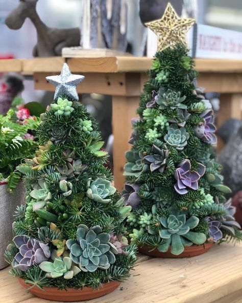 Christmas Tree Succulents, Plant Christmas Ornaments, Succulent Christmas Tree Diy, Succulent Ornament, Succulent Christmas Tree, Purple Christmas Tree Decorations, Succulent Christmas, Christmas Candles Diy, Purple Christmas Tree