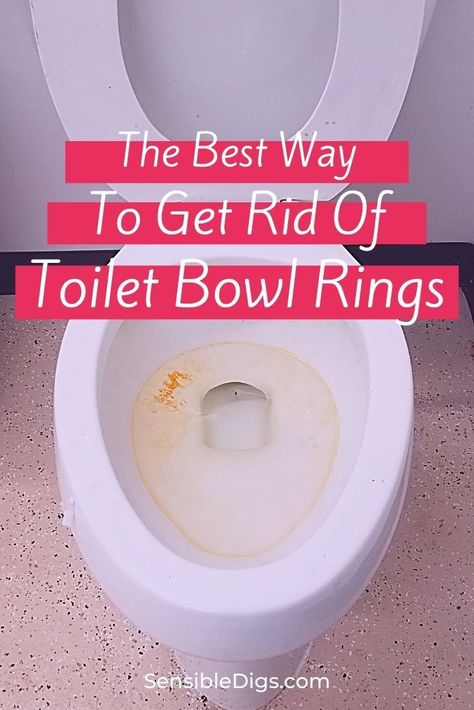 Toilet Bowl Rings, How To Deep Clean Toilet, Toilet Rings How To Get Rid Of, How To Clean Toilet Ring, Toilet Stains How To Get Rid Of, How To Clean Toilet Bowl Stains, Easy Toilet Cleaning, Remove Toilet Ring, How To Get Rings Out Of Toilet