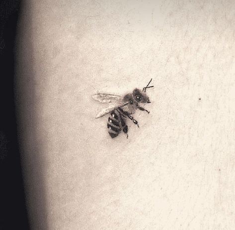 Homey Bee Tattoo, Honey Bee Tattoo, Amazing 3d Tattoos, Tattoo Over Scar, Pawprint Tattoo, Bestie Tattoo, Bug Tattoo, Om Tattoo, 3d Tattoos