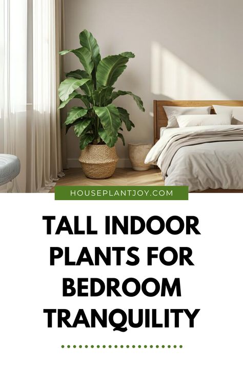 Bedroom Greenery: A Breath of Fresh Air 🌱🌿

Elevate your space with these beautiful and beneficial indoor plants. #BedroomPlants #IndoorGardening #HomeDecor Bedroom Plant Corner Ideas, Tall Bedroom Plants, Plant In Bedroom Corner, Cozy Plant Bedroom, Indoor Plants For Bedroom, Tree In Bedroom, Bedroom Greenery, Plants For Bedroom, Tall Indoor Plants