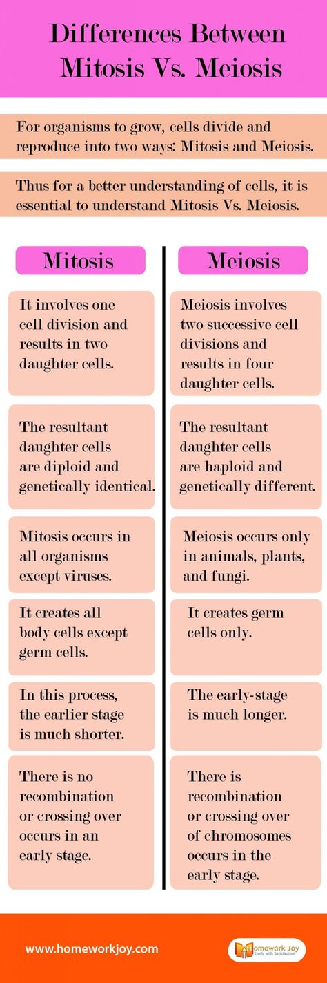 #Learn key differences between mitosis vs. meiosis. Also, here are some similarities between mitosis and meiosis. For more details, read the post. #WednesdayWisdom #education #WednesdayMotivation #Online Difference Between Mitosis And Meiosis, Mitosis And Meiosis Notes Aesthetic, Mitosis Vs Meiosis Notes, Biology Mitosis Meiosis Notes, Meiosis Vs Mitosis, Mitosis And Meiosis Notes, Meiosis Notes, Mitosis Notes, Mitosis Y Meiosis