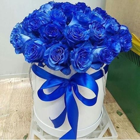 Roses Flower Arrangements, Rose Flower Arrangements, Family World, Roses Flower, Rose Pictures, Digital Portrait Art, Rose Bush, Blue Pin, Beautiful Flower Arrangements