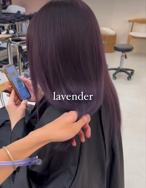 Hair Color Violet, Dark Lavender Hair Color, Purple Tint Hair Brown, Purple Toned Hair Brown, Plum Hair Colour, Cool Tone Purple Hair, Ash Purple Hair Color, Natural Purple Hair, Blue Lavender Hair