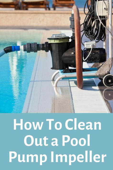 Here are all the steps to properly clean a pool pump impeller. Saltwater Pool Care, Pool Cleaning Tips, Pool Pumps And Filters, Concrete Swimming Pool, Swimming Pool Maintenance, Pool Hacks, Pool Care, Above Ground Swimming Pools, Diy Pool