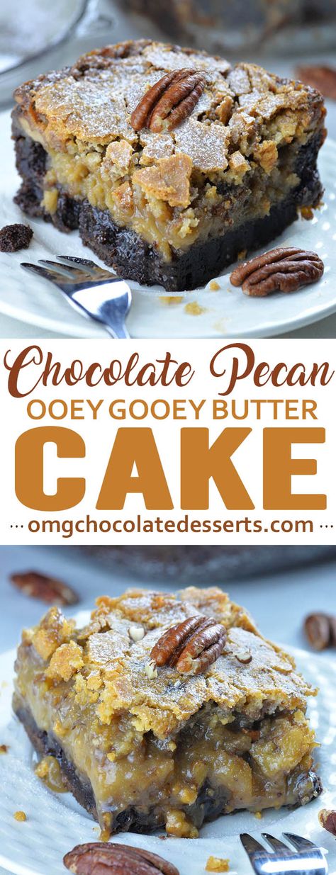 Fudgey brownie crust, ooey gooey center and sweet flaky top makes the best texture and flavor combo!!! Ooey Gooey Butter Cake is the best soon after baking it, warm and served at room temperature. Ooey Gooey Cake, Ooey Gooey Butter Cake, Gooey Cake, Gooey Butter Cake, Chocolate Pecan Pie, Butter Cake Recipe, Chocolate Pecan, Ooey Gooey, Chocolate Cake Mixes