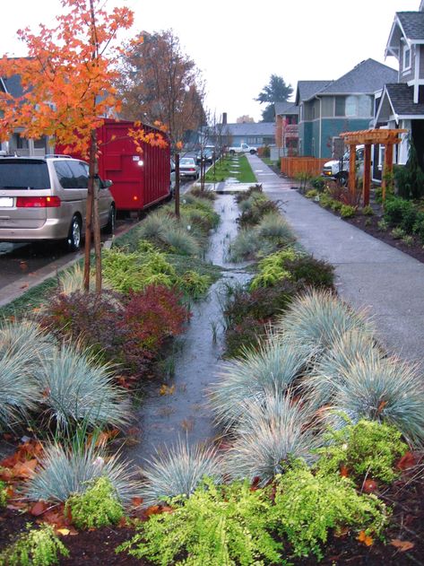 Recycled Organics Make Splash In Green Infrastructure | BioCycle California Garden Design, Tools Tattoo, Gardener Aesthetic, Tattoo Garden, Garden Tattoo, Wheelchair Friendly, California Garden, Aesthetic Garden, Landscaping Garden