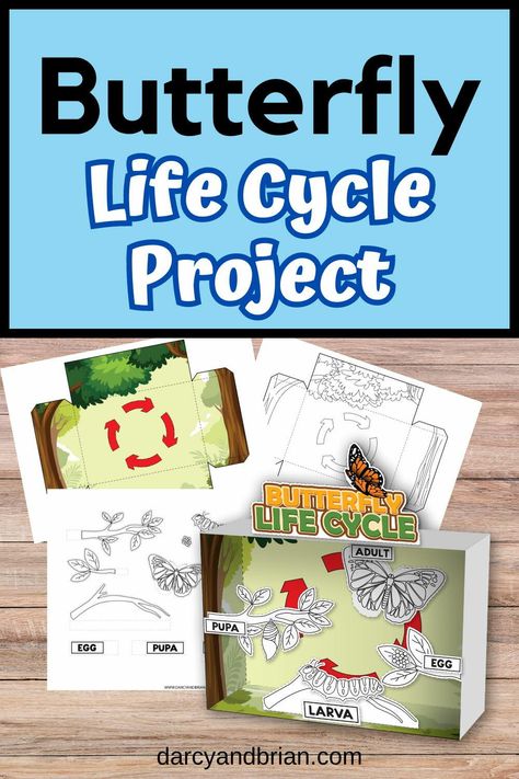 "Are you looking for butterfly activities for kids that combine creativity with learning? This butterfly life cycle project for kids is an exciting way to explore the fascinating journey of these beautiful creatures.  This engaging project includes a 3D diorama printable set, allowing children to craft a visual representation of each stage of metamorphosis.  It is a fantastic option for a fun home activity and an excellent resource for science lessons in both homeschooling and classrooms. What Butterfly Activities For Kids, Butterfly Life Cycle Project, Life Cycle Project, Butterfly Activities, Craft Paper Design, 3d Diorama, Kids Fathers Day Crafts, Happy Birthday Banner Printable, Butterflies Activities