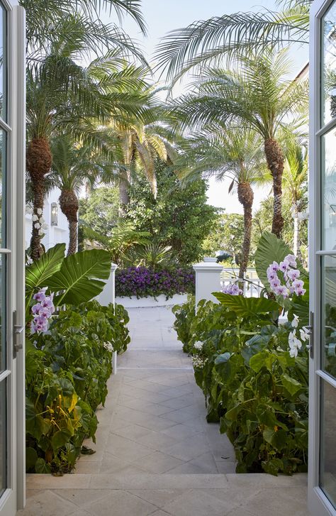 Tour a Classic Palm Beach Estate Reimagined by Redd Kaihoi – Frederic Magazine Knotty Pine Paneling, Florida Mansion, Stair Gallery, Palm Beach Style, Letter X, Custom Shades, Palm Beach Gardens, Beach Living, Tropical Landscaping