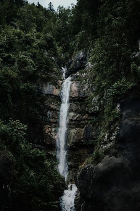 Cliff Waterfall, Forest Cliff, Wilderness Aesthetic, Dark Naturalism, Waterfall Wallpaper, Dark Forest Aesthetic, Hallstatt Austria, Android Wallpaper Dark, Hawaii Wall Art