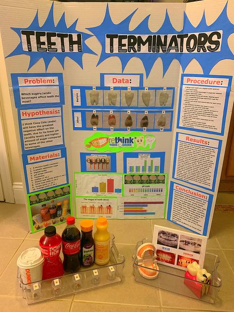 8th Grade Science Fair Projects Ideas, Science Fair Ideas Highschool, Science Fair Projects For Middle School, Science Fair Projects Highschool, Science Fair Topics, Science Project Working Model, Science Fair Projects Boards, Biology Poster, Science Models