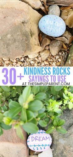 30+ Things to Paint on Rocks when making Kindness Rocks. Learning how to make easy painted rocks is a great project for kids. If you need ideas for quotes or sayings, check out this list! Things To Paint On Rocks, Easy Painted Rocks, Mom Mindset, Kyle Texas, Rock Sayings, Things To Paint, Rock Quotes, Inspirational Rocks, Painted Rocks Kids