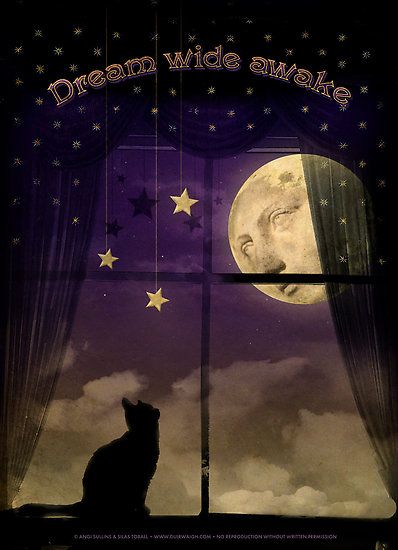 Dream Wide Awake... Part of new greeting card line "Message from the Muse" ©Angi Sullins & Silas Toball -- check out their wonderful website at duirwaigh.com Magical Pictures, The Moon And Stars, Wild Moon, Sun Moon Stars, Wide Awake, Good Night Moon, A Black Cat, Personal Statement, Chain Wallet