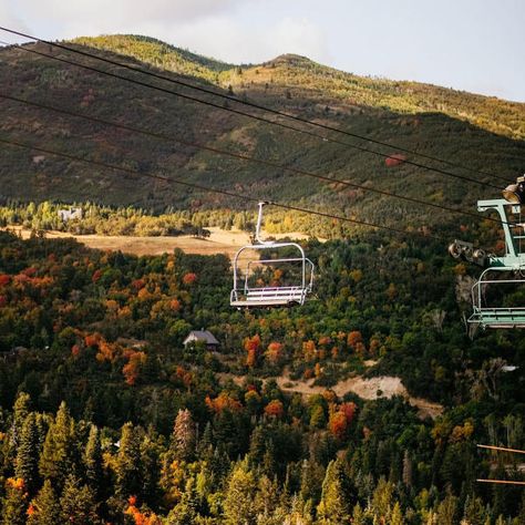 Utah Valley Fall Bucket List | Explore Utah Valley Sundance Utah, American Fork Canyon, Autumn Activity, Sundance Resort, Alpine Loop, Halloween Themes Decorations, Halloween Adventure, Pumpkin Patches, Scenic Byway