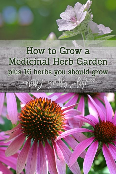 Medical Herb Garden, Medicinal Herb Garden, Best Herbs To Grow, Medicinal Herbs Garden, Types Of Herbs, Medicinal Herb, Garden Growing, Vertical Herb Garden, Herbs For Health