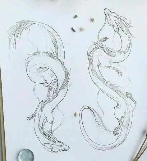 Hawaiian Dragon Tattoo, Dragon Sketch Tattoo Design, Dragon Tattoo Reference, Avatar Dragons Tattoo, Avatar Dragon Drawing, Dragons From Avatar, Dragon Artwork Drawing, Outline Dragon Tattoo, Haku Sketch