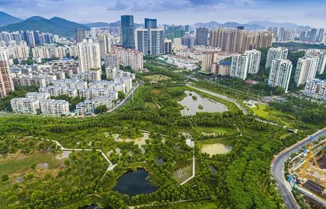 Kongjian Yu Defends His Sponge City Campaign – THE DIRT Wetland Architecture, Chinese Cities, Sponge City, Sketch Model, Arch Sketch, Wetland Park, Urban Habitat, Eco Architecture, Orchid Garden