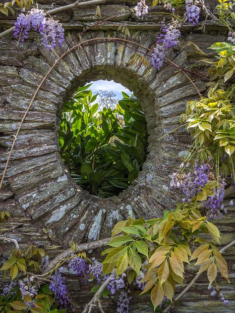 Hestercombe Garden View, Somerset | Bob Radlinski | Flickr Cactus Garden, Garden View, Somerset, Global Community, The Good Place, Garden Decor, Cactus, Exterior, Plants