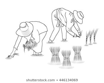 Farmers are planting rice cartoon vector Farmer Pose Reference Drawing, Farmer Drawing Sketch, Farmers Drawing, Farming Drawing, Rice Cartoon, Farmer Drawing, Singing Drawing, Horse Grazing, Vintage Film Photography