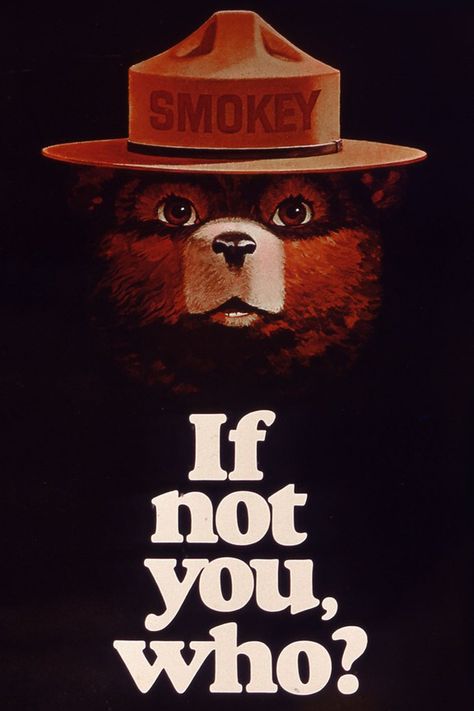 Fire Prevention Poster, Smoky The Bear, Bear Poster, Smokey The Bear, Smokey Bear, Smokey The Bears, Bear Tattoo, Home Owner, Type Illustration