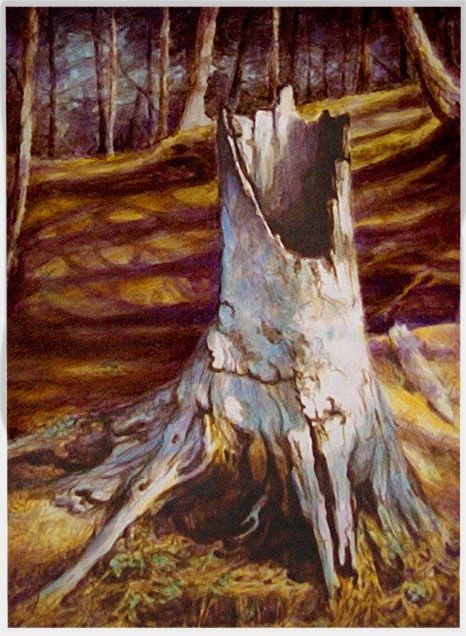 An old tree stump in Algoquin Park watercolour painting by Greg Hand Old Tree Painting, Tree Stump Drawing, Tree Stump Painting, Tree Trunk Drawing, Tree Trunk Painting, Tree Monster, Nature Reference, Heron Art, Aesthetic Prints