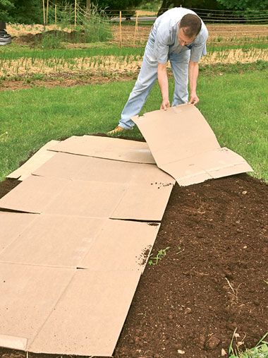 cardboard Southern Landscape, Moderne Have, Garden Hacks, Garden Types, Food Combining, Garden Bed, Veggie Garden, Outdoor Art, Lawn And Garden