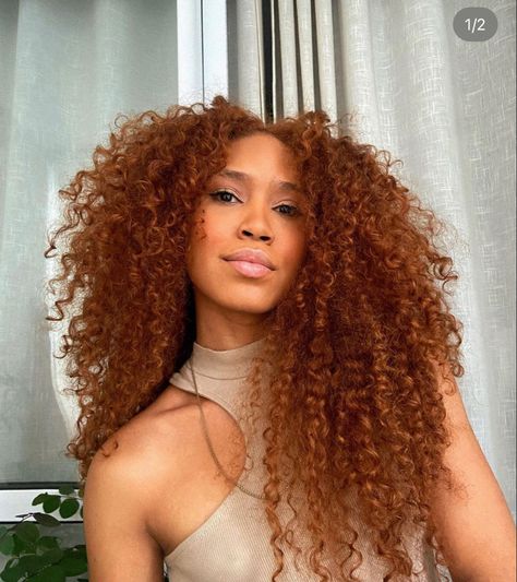 Human Hair Afro Wigs, Curly Hair Color Ideas, Curly Hair Color, Long Natural Curly Hair, Cheveux Oranges, Hair Content, Hair Couture, Highlights Curly Hair, Red Curly Hair