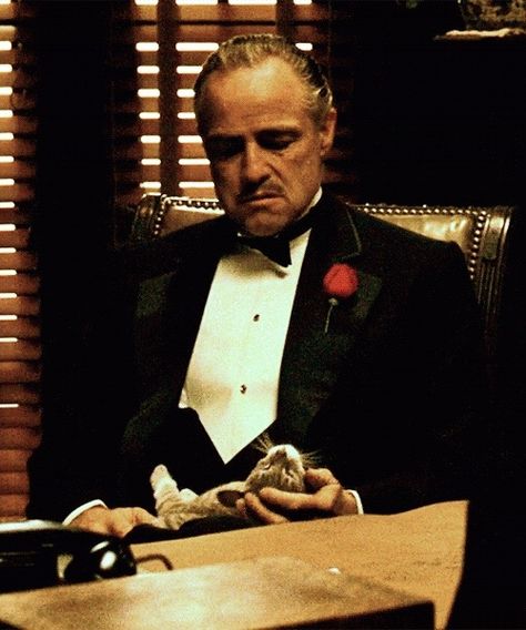 The Godfather Wallpaper, The Godfather Poster, Don Corleone, Luxury Lifestyle Couple, Cat Call, Life Lyrics, Francis Ford Coppola, Casino Outfit, Marlon Brando